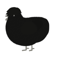 A black chicken with a lace pattern