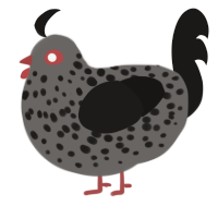 A grey and sable chicken with a speckle pattern