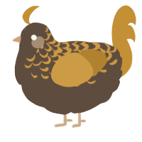 A bark and gold chicken with a half-lace pattern