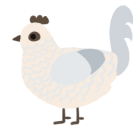 A cream and mist chicken with a lace pattern