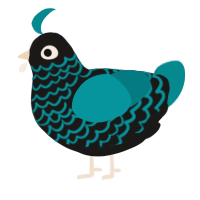 A sable and teal chicken with a lace pattern