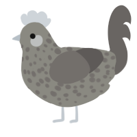 A ash and grey chicken with a speckle pattern