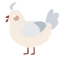 A cream and mist chicken with a half-lace pattern