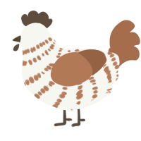 A white and brown chicken with a bar pattern