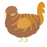 A brown and orange chicken with a half-bar pattern
