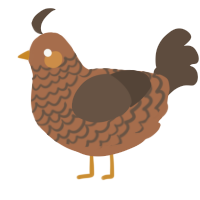 A brown and bark chicken with a lace pattern