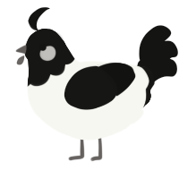 A white and black chicken with a head pattern