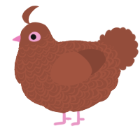 A russet chicken with a double-lace pattern