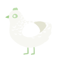 A white chicken with a half-lace pattern