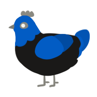 A sable and ultramarine chicken with a head pattern
