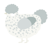 A white and silver chicken with a speckle pattern