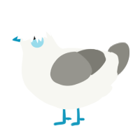 A white and ash chicken