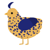 A honey and navy chicken with a speckle pattern