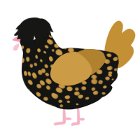 Rei, a black and gold chicken with a speckle pattern