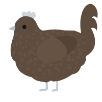 A bark chicken with a speckle pattern