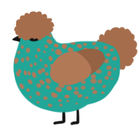A turquoise and brown chicken with a speckle pattern