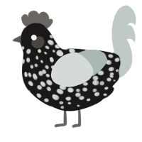 A sable and silver chicken with a speckle pattern