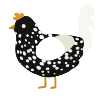 reverse cow, a black and white chicken with a speckle pattern