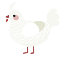A white chicken with a lace pattern