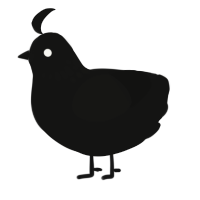 A black chicken with a neck-speckle pattern