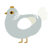 A silver and white chicken with a neck-band pattern