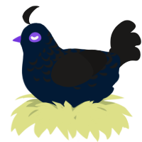 A tumblr and sable chicken with a half-lace pattern