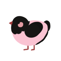 Rosie, a rose and black chicken with a head pattern