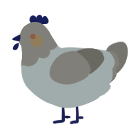 A silver and ash chicken with a head pattern