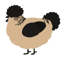 A beige and sable chicken with a neck-band pattern