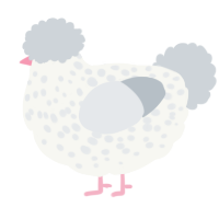 A white and mist chicken with a speckle pattern