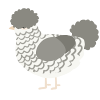 A white and ash chicken with a lace pattern