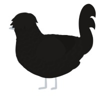 A sable chicken with a lace pattern