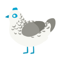 A white and ash chicken with a half-lace pattern