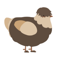 A bark and beige chicken with a head pattern