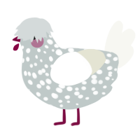 A silver and white chicken with a speckle pattern