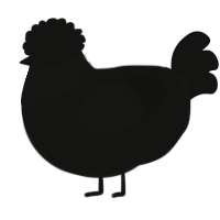 A black chicken with a head pattern