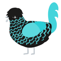 A sable and aqua chicken with a lace pattern
