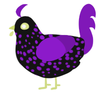 A black and violet chicken with a speckle pattern