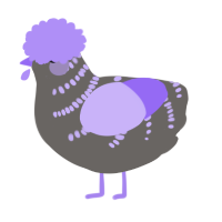 A grey and lilac chicken with a half-bar pattern