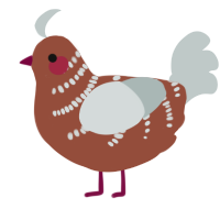 A russet and silver chicken with a half-bar pattern