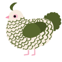A cream and olive chicken with a lace pattern