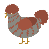A ash and russet chicken with a bar pattern