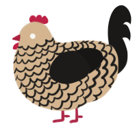A beige and sable chicken with a lace pattern