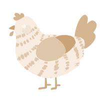A cream and beige chicken with a bar pattern