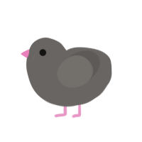 Pidge, a grey chicken