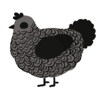 A grey and black chicken with a double-lace pattern