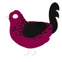 A maroon and black chicken with a half-lace pattern