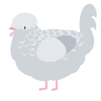A mist chicken with a half-lace pattern