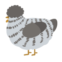 A mist and grey chicken with a bar pattern