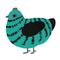A turquoise and black chicken with a bar pattern